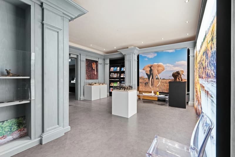 Local commercial 430m2 rue commerçante (1)