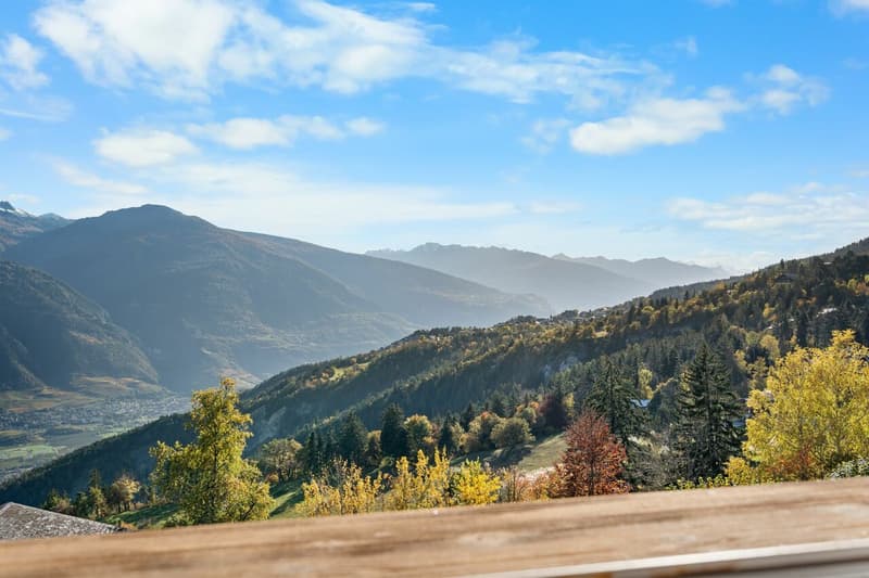 a view of a mountain range from a window