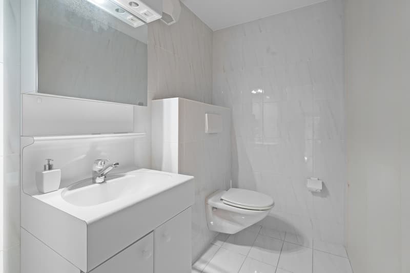 une salle de bains avec toilettes, lavabo et miroir / a bathroom with a toilet, sink and mirror