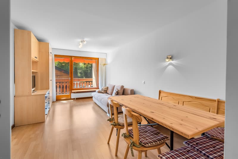 Set of 2 studios in PPE in a quiet residential area (2)