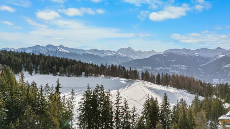 Chalet d'exception - Ski In / Ski Out privatif - Plans-Mayens (2)