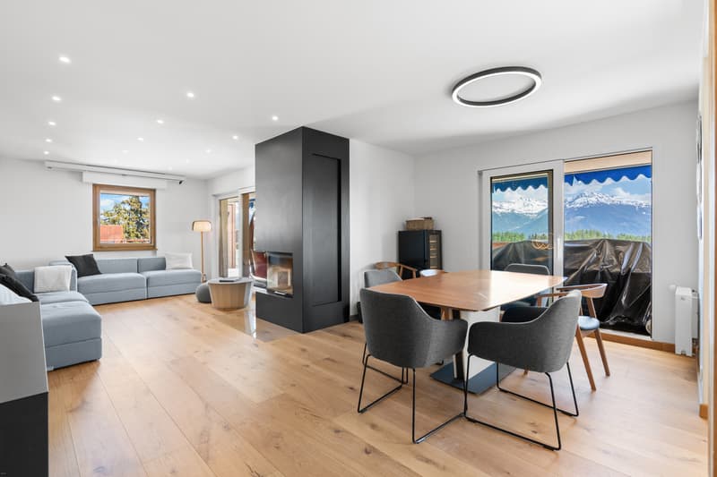 Attique entièrement rénové avec terrasse panoramique et vue imprenable (1)