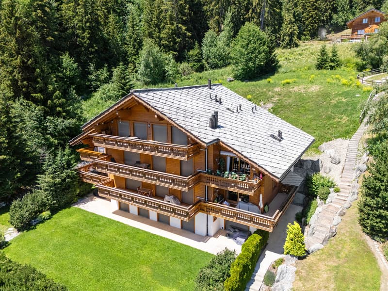 Magnifique attique duplex à deux pas des pistes de ski (1)