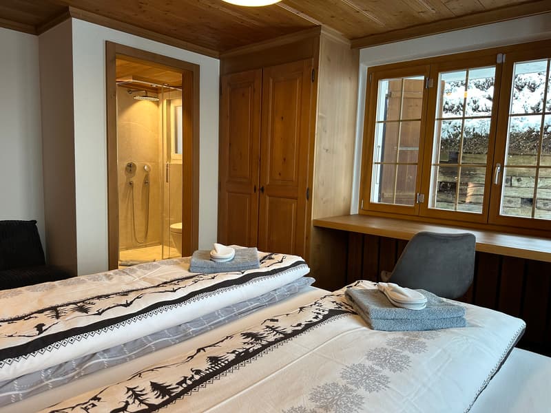 3.5 Zimmer Wohnung für Kurzzeitaufenthalte an schöner Lage (10)