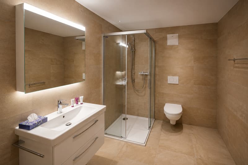 5.5 Zimmer Dachwohnung an grandioser Lage in Grächen (9)