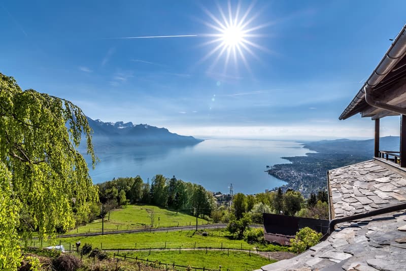 Un lieu d'exception sur les hauts de Montreux (1)