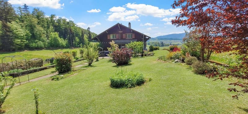 Chalet on the edge of the forest (3)
