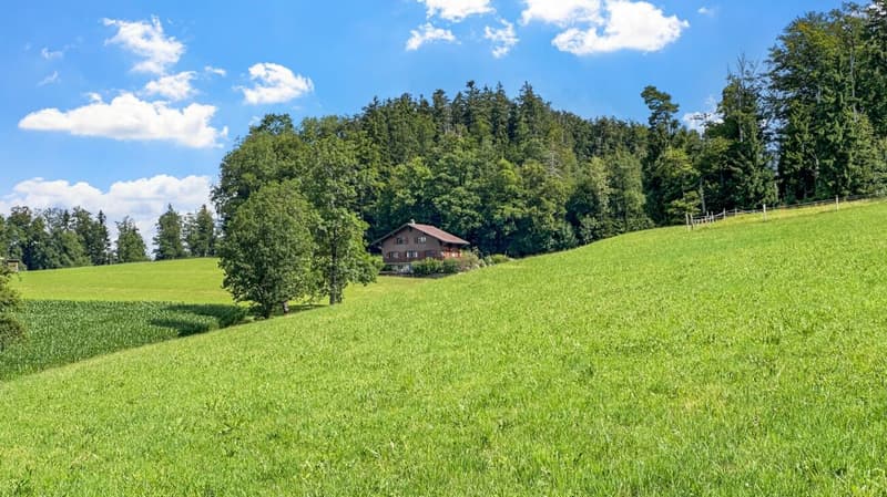 Chalet on the edge of the forest (2)