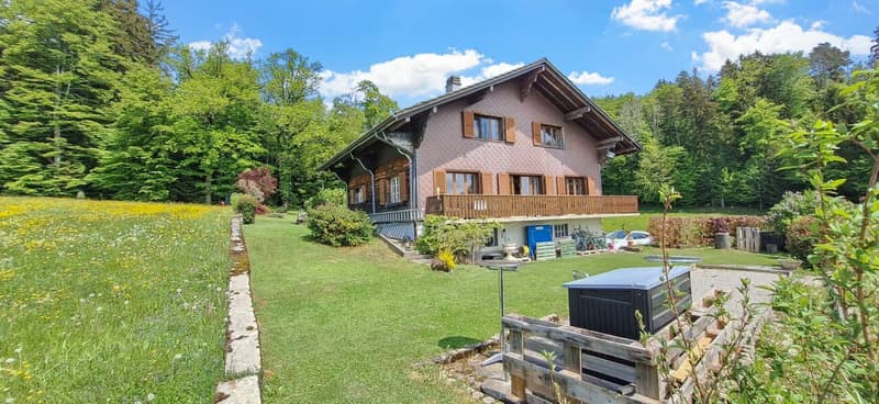 Chalet on the edge of the forest (5)