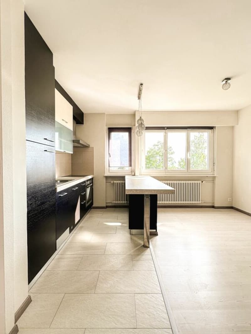 Appartement 2,5pces (5)