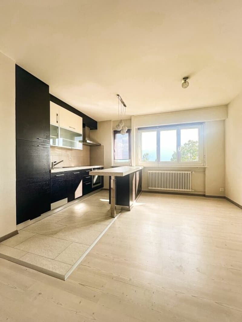 Appartement 2,5pces (3)