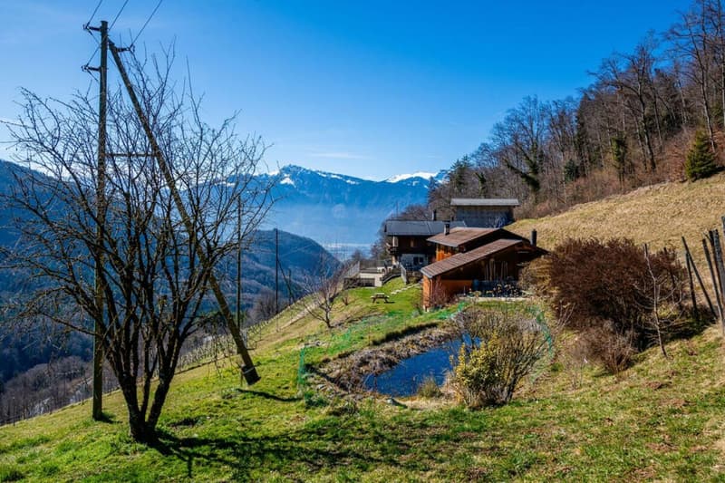 Domaine Privé au Coeur de la Nature - avec opportunité d'activité commerciale (3)