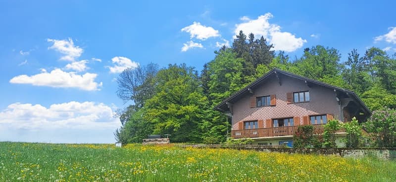 Un chalet à réinventer, un cadre à couper le souffle (3)