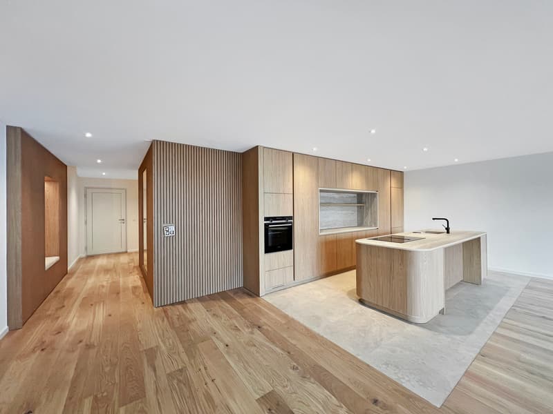 New attic with large terrace (4)