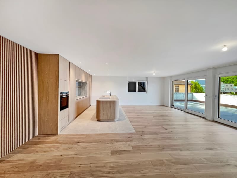 New attic with large terrace (1)