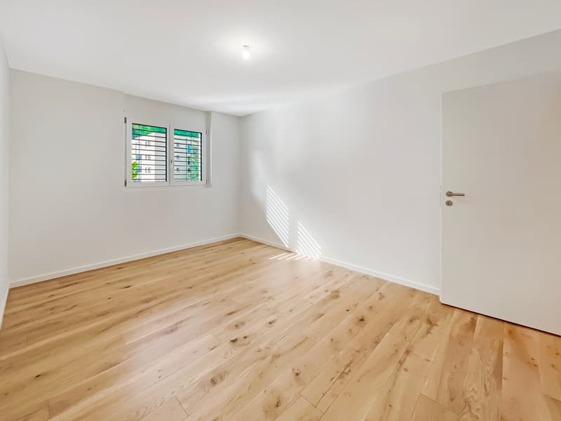 New attic with large terrace (5)