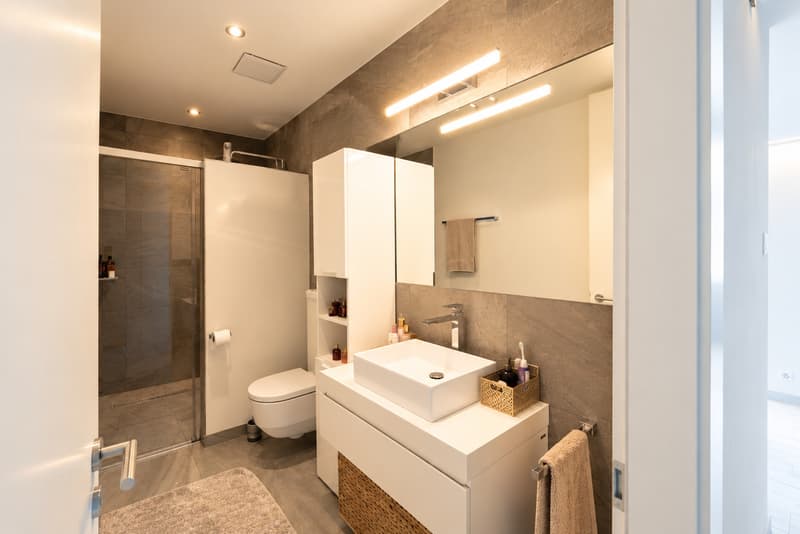 Magnifique attique 3½ pces- grande terrasse 87m2 + véranda -Aproz-Sion (2)