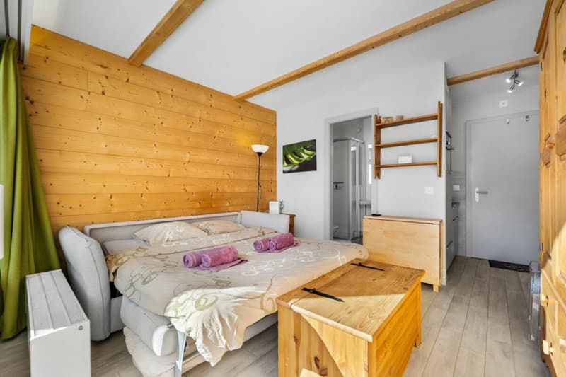 Ski-in Ski-out Apartment with 1.5 Rooms (4)