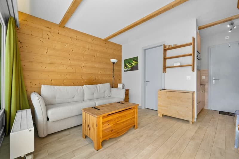 Ski-in Ski-out Apartment with 1.5 Rooms (3)