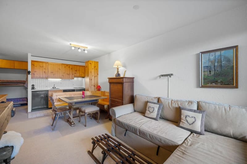 1.5 room apartment on the ground floor ski in ski out (5)