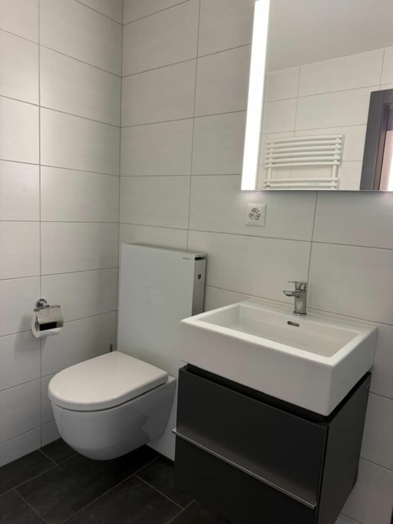 Appartement rénové de 1.5 pièces au centre de la station. (3)