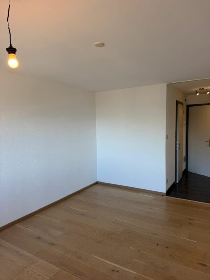 Appartement rénové de 1.5 pièces au centre de la station. (5)