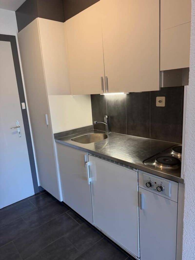 Appartement rénové de 1.5 pièces au centre de la station. (4)
