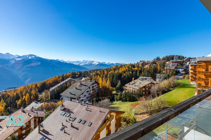 APPARTAMENTO MAGNIFICO ALL'INGRESSO DI MONTANA CON VISTA PANORAMICA (5)