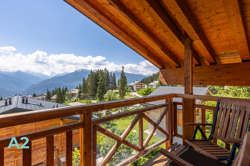 CHALET DE LUXE EN LOCATION AU PIED DES PISTES (11)
