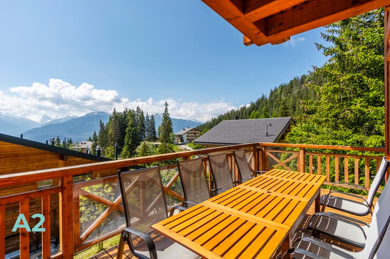 CHALET DE LUXE EN LOCATION AU PIED DES PISTES (6)