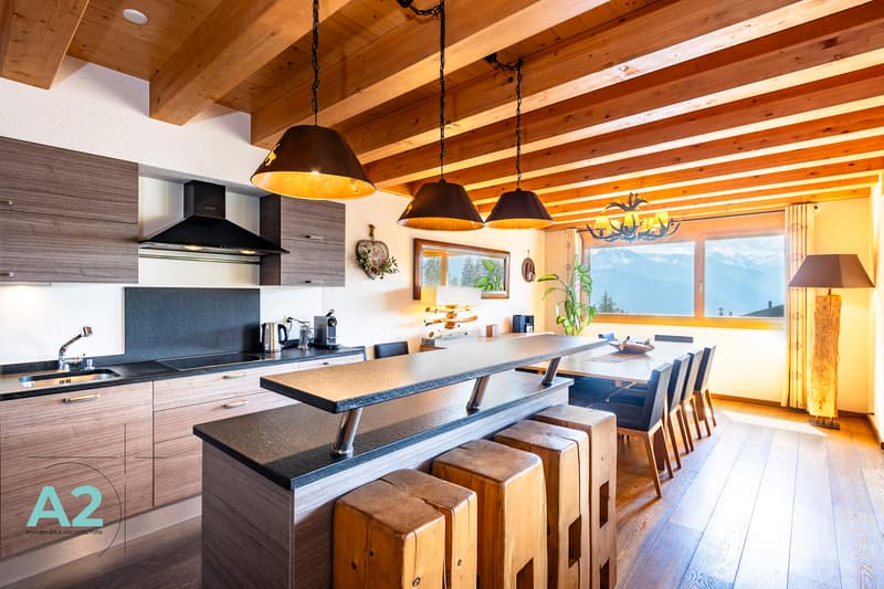 CHALET DE LUXE EN LOCATION AU PIED DES PISTES (4)