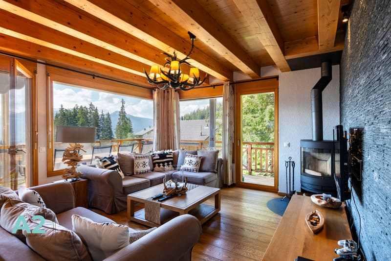 CHALET DE LUXE EN LOCATION AU PIED DES PISTES (2)
