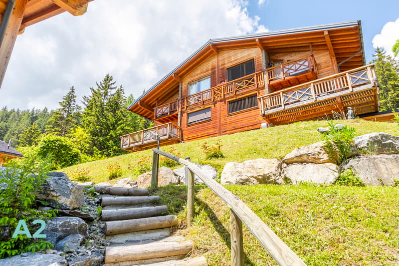 CHALET DE LUXE EN LOCATION AU PIED DES PISTES (1)