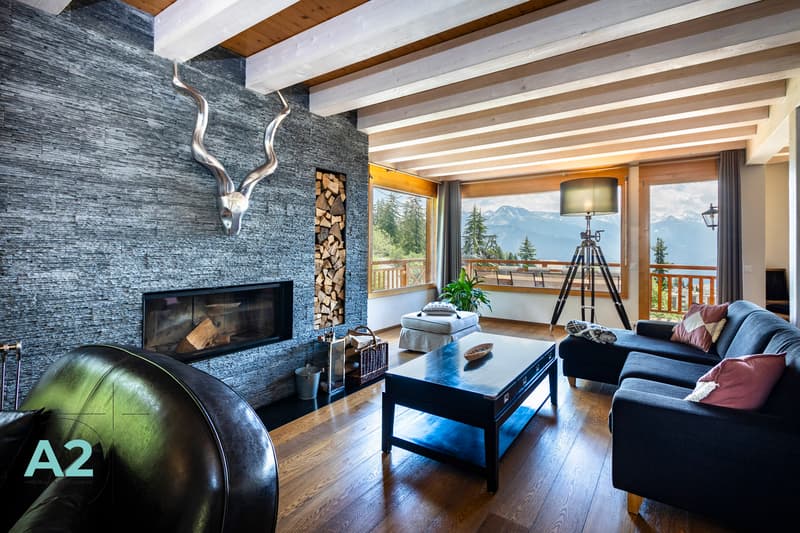 CHALET DE LUXE EN LOCATION AU PIED DES PISTES (2)