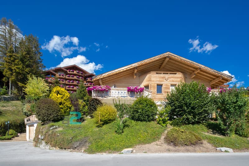 Magnifique attique duplex en plein centre (11)