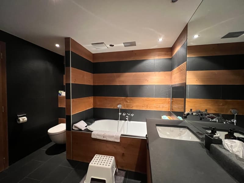 Magnificent apartment for rent in summer (13)