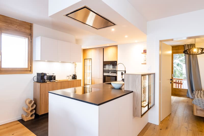 APPARTEMENT ENTIÈREMENT RÉNOVÉ EN LOCATION SEMAINE (8)