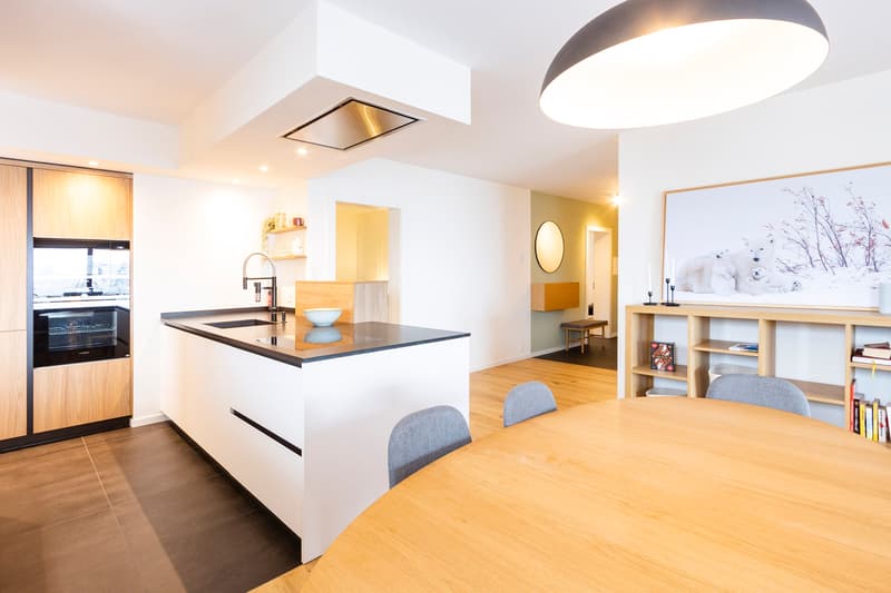 APPARTEMENT ENTIÈREMENT RÉNOVÉ EN LOCATION SEMAINE (5)