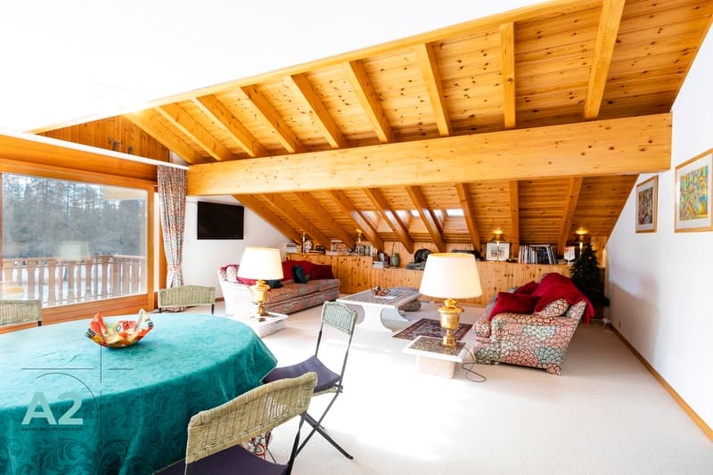 APPARTEMENT DUPLEX EN ATTIQUE EN LOCATION DE VACANCES (2)