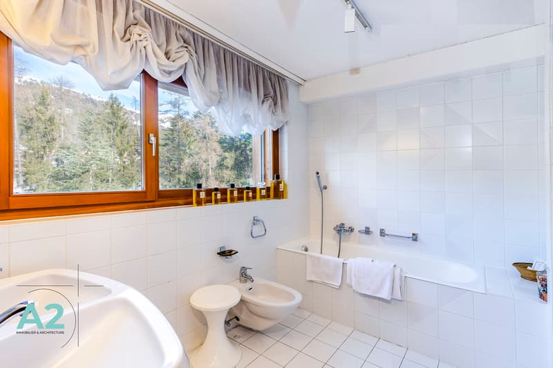 APPARTEMENT DUPLEX EN ATTIQUE EN LOCATION DE VACANCES (7)