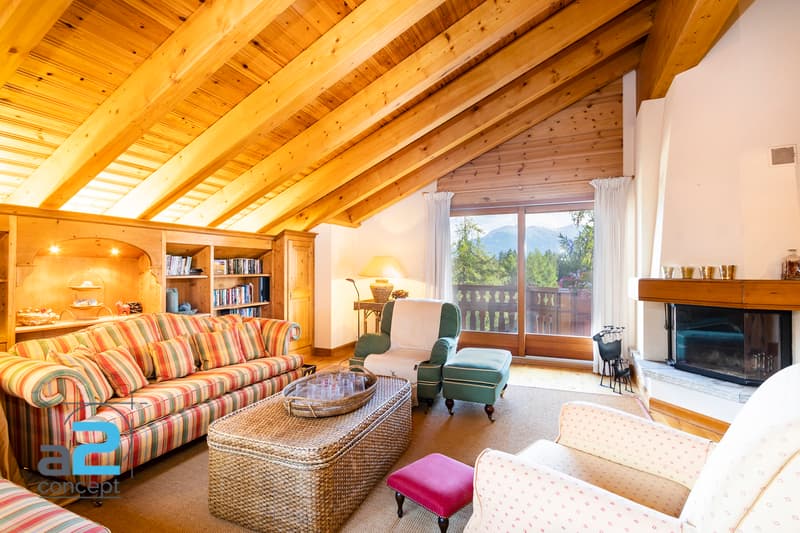 Chaleureux attique avec vue panoramique (2)