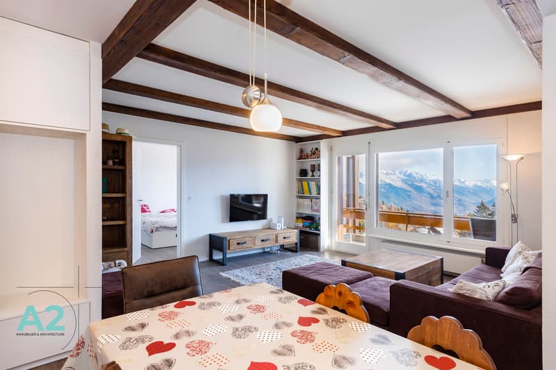 Spacieux 3 pièces rénové avec vue sur les Alpes (2)
