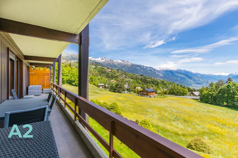 Spacieux 3 pièces rénové avec vue sur les Alpes (4)