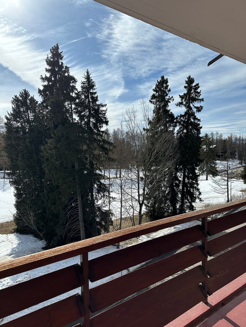 Apartment with 3.5 rooms close to the Golf course (6)
