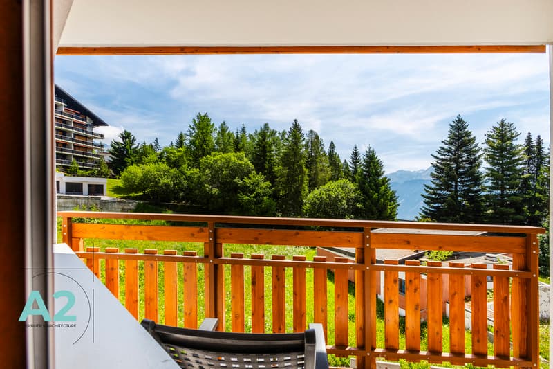 3.5 room apartment at Les Violettes facing the ski slopes (1)