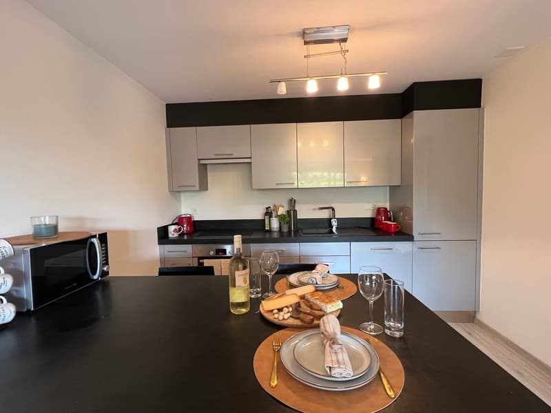 STAGIONE INVERNALE: BELLO APARTAMENTO 2,5 LOCALI A PIANO TERRA (7)