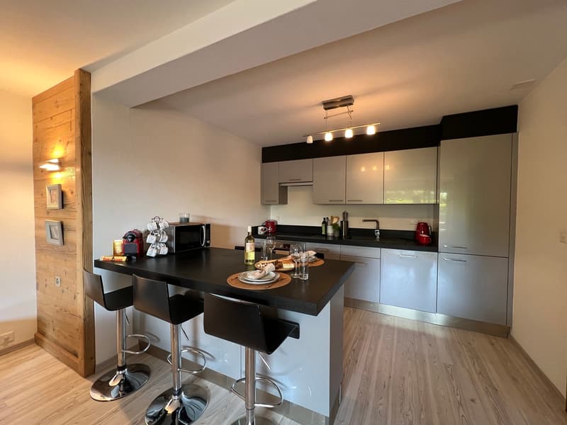 STAGIONE INVERNALE: BELLO APARTAMENTO 2,5 LOCALI A PIANO TERRA (11)