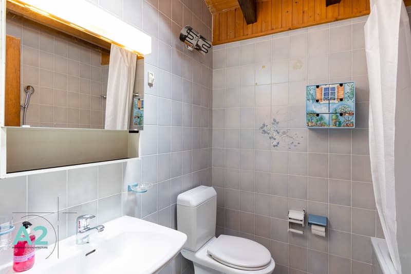 LOCATION SEMAINE / SAISON CHALET MITOYEN AVEC JARDIN PROCHE DU REGENT (9)