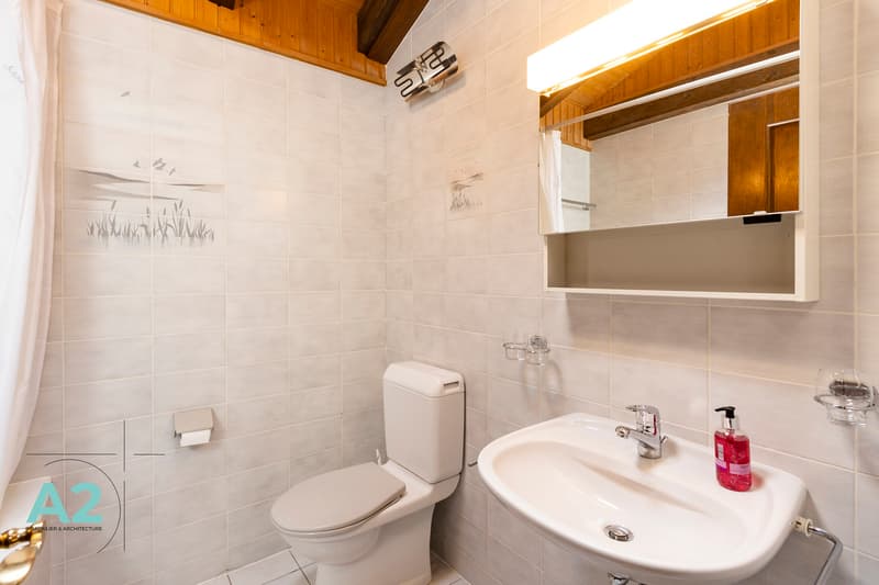 LOCATION SEMAINE / SAISON CHALET MITOYEN AVEC JARDIN PROCHE DU REGENT (11)
