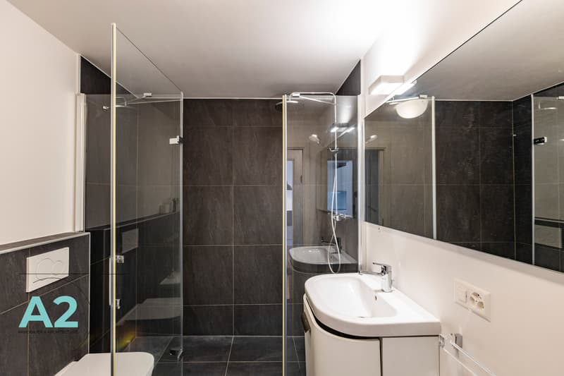 Superbe 3 pièces entièrement rénové à deux pas du centre de Crans (11)